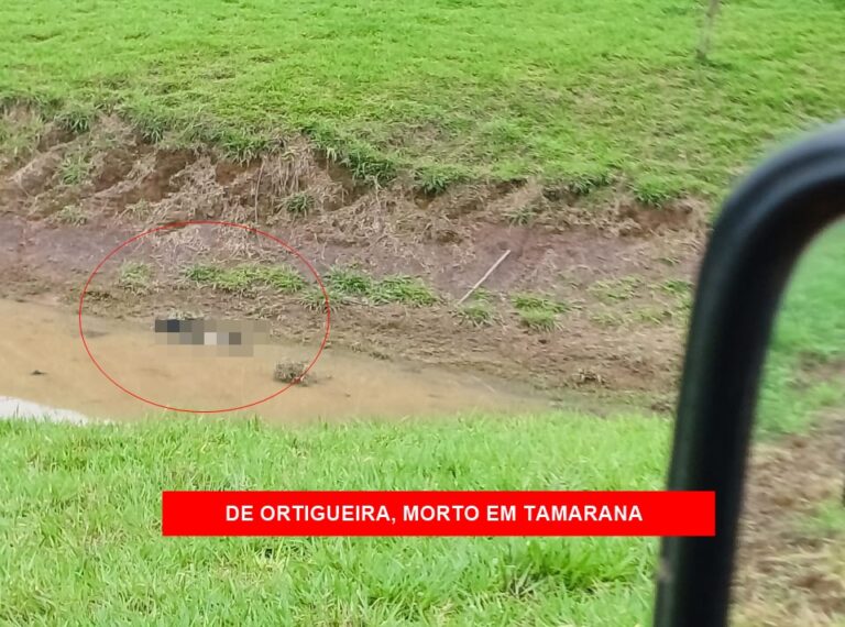 Morador de Ortigueira é assassinado na zona rural de Tamarana