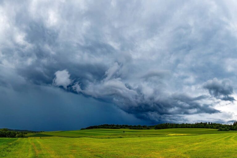 NOTÍCIASBoletim do IDR-Paraná detalha El Niño em novembro e volume de chuva sobre o campo