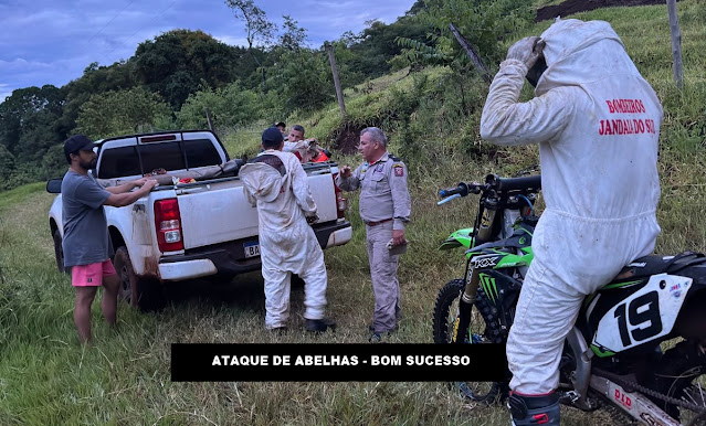 BOM SUCESSO – Bombeiros de Jandaia foram acionados após abelhas atacar trilheiros