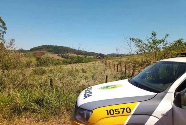 Agricultor sai para trabalhar e tem motosserra da chácara furtada, em Ivaiporã