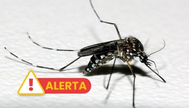 Número de mortes em investigação por dengue sobe para 17 em Apucarana