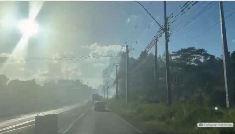 Bombeiros combatem mais um incêndio em vegetação às margens da BR-376