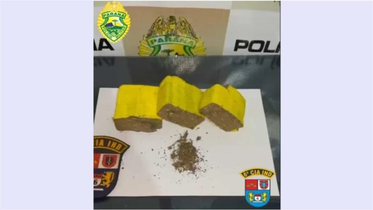 PM apreende 423 gramas de maconha e detém suspeito de tráfico em Rio Branco do Ivaí