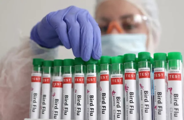OMS confirma primeira morte por variante H5N2 da gripe aviária