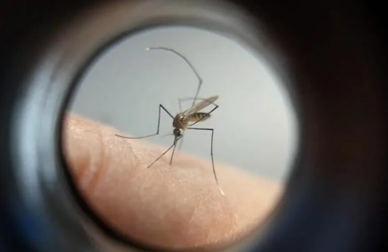 Boletim da Sesa confirma cinco mortes por dengue em Faxinal