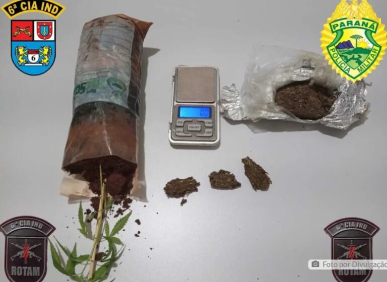 Jovem é preso com maconha e pé da planta em Ariranha do Ivaí