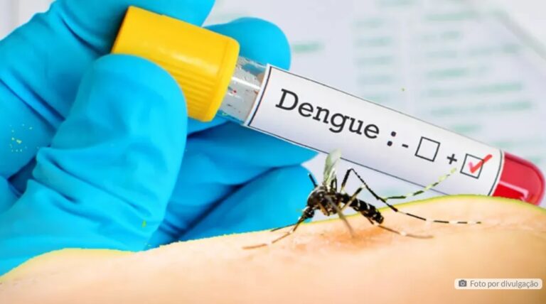 Boletim confirma mais seis mortes por dengue em municípios da região