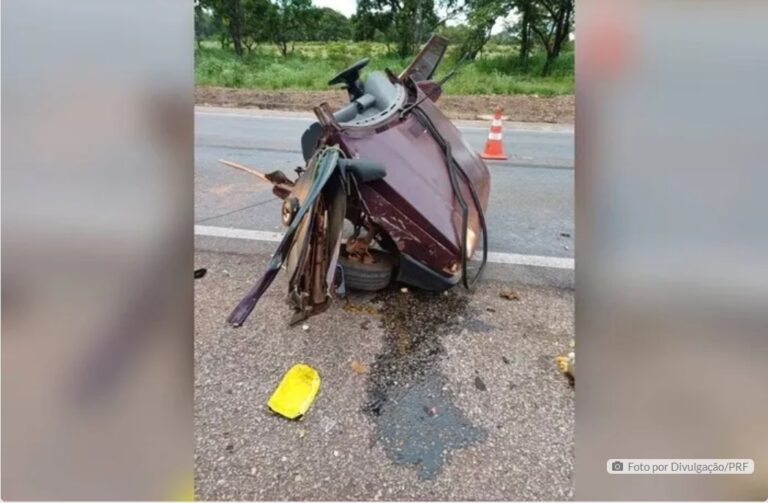 Acidente em rodovia mata crianças após motorista desviar de tamanduá